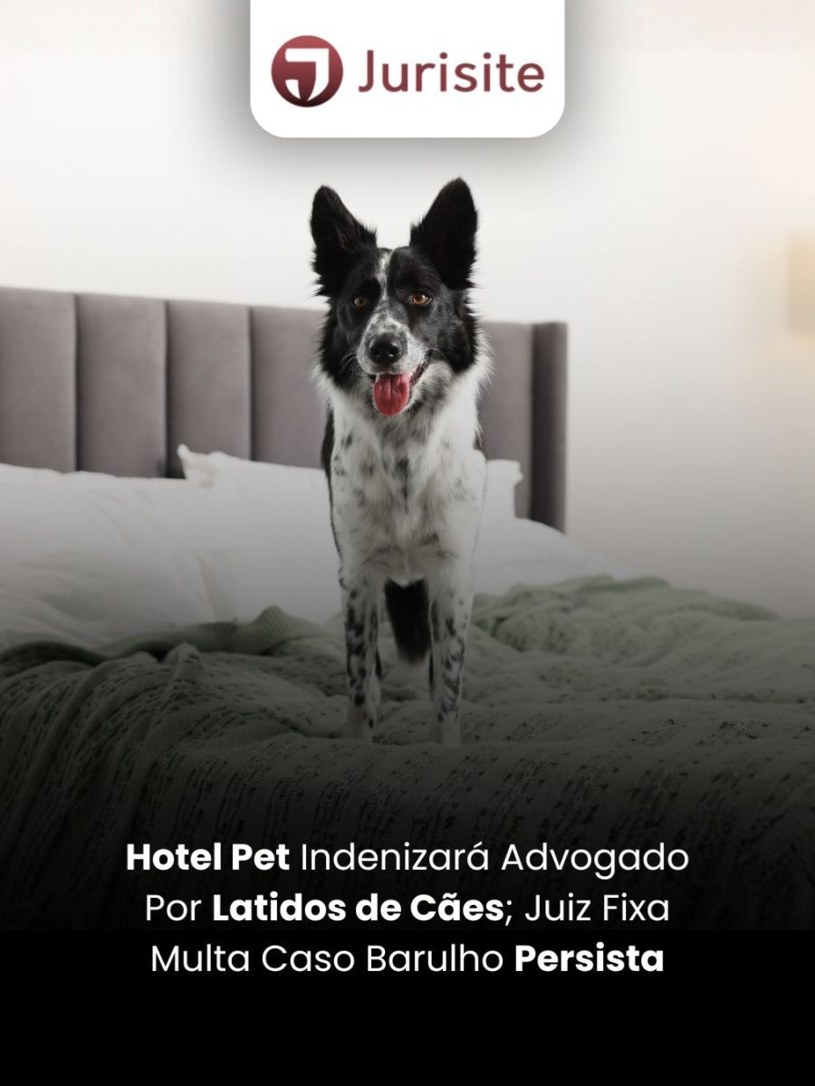 Hotel Pet Indenizará Advogado Por Latidos de Cães; Juiz Fixa Multa Caso Barulho Persista